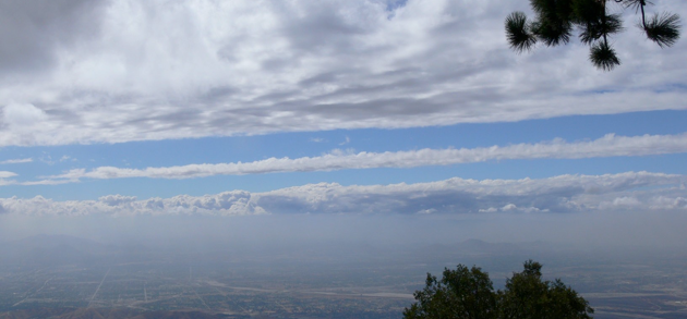 Stacks Image 6